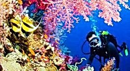 kaş dalış kursu paketi