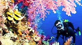 kaş dalış kursu paketi